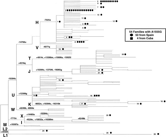 Figure  1