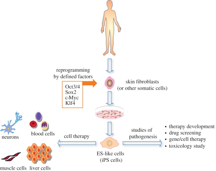 Figure 3.