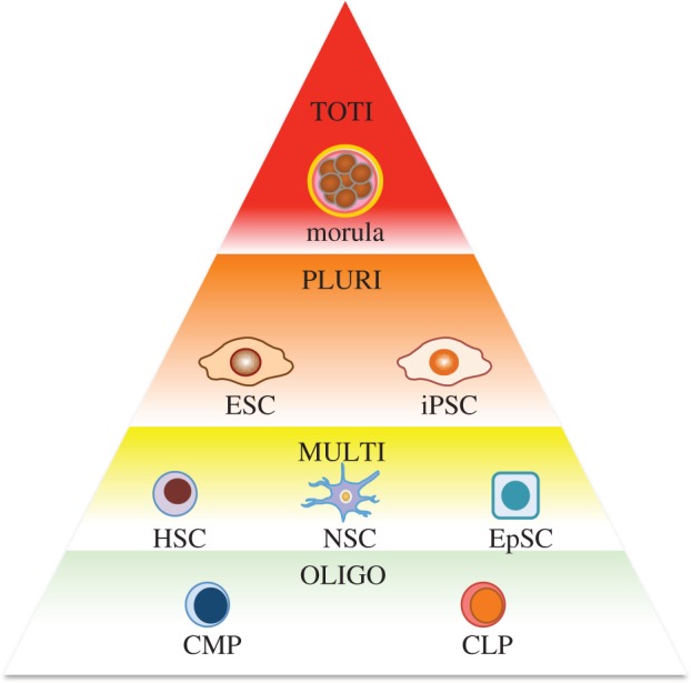 Figure 1.