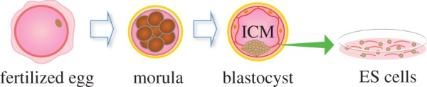 Figure 2.