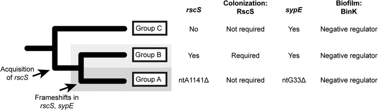 FIG 11