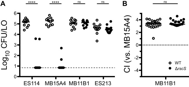 FIG 5