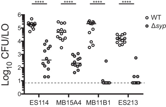 FIG 6