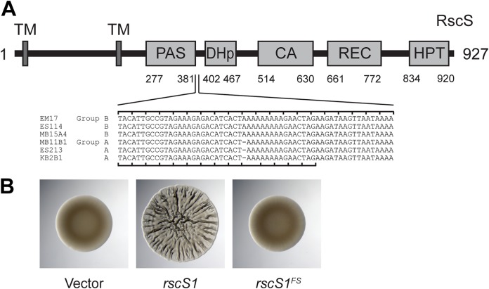 FIG 4