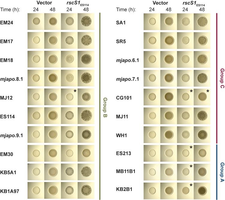 FIG 2