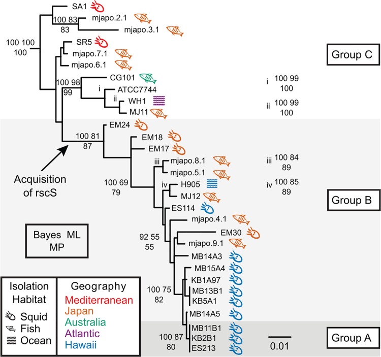 FIG 1