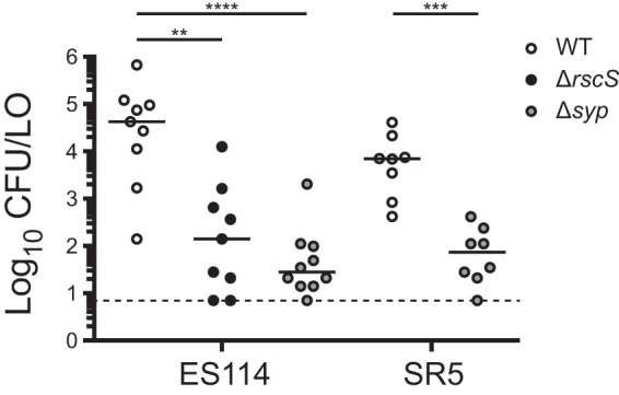 FIG 3