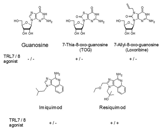 graphic file with name rna-9-828-g2.jpg