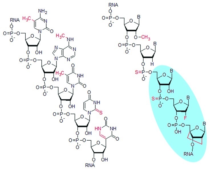 graphic file with name rna-9-828-g3.jpg