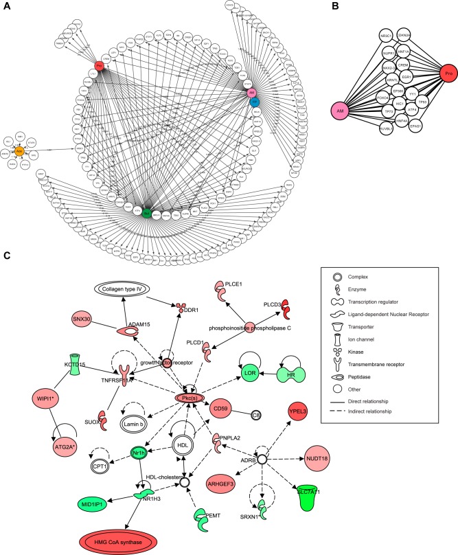 FIG 3 