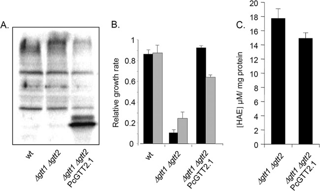 FIG 1