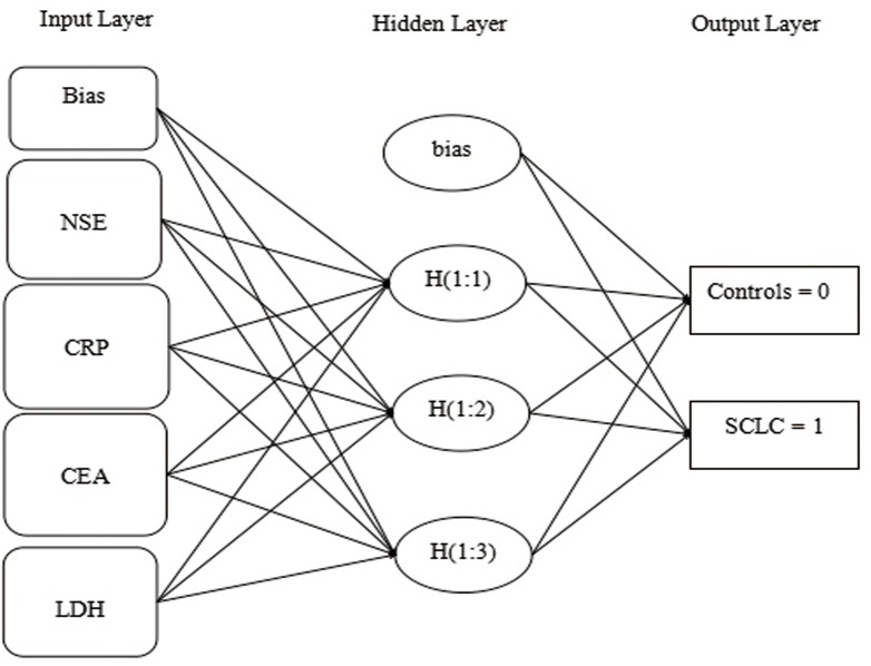 Fig 5