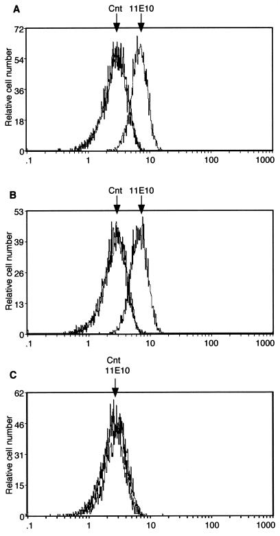 FIG. 6