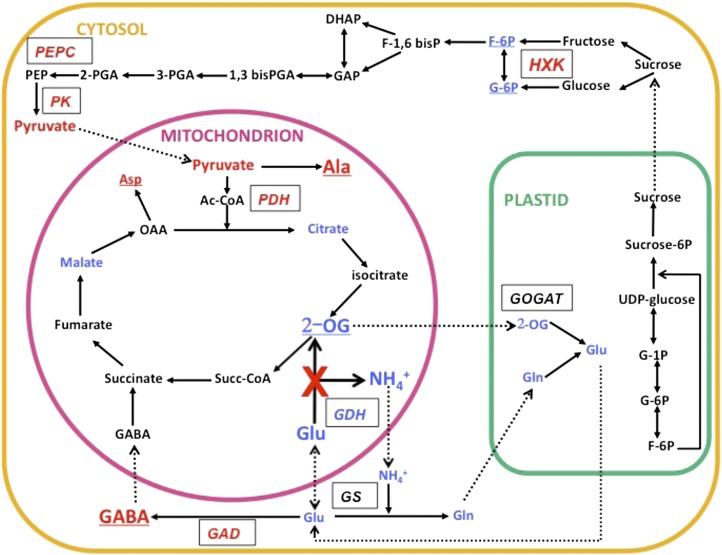 Figure 9.