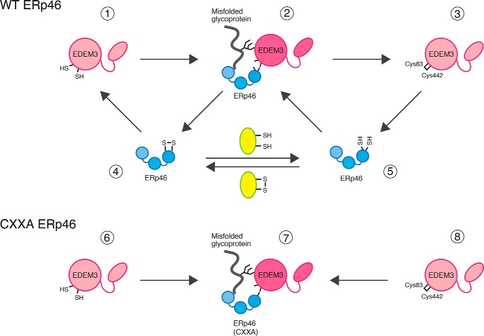 Figure 7.