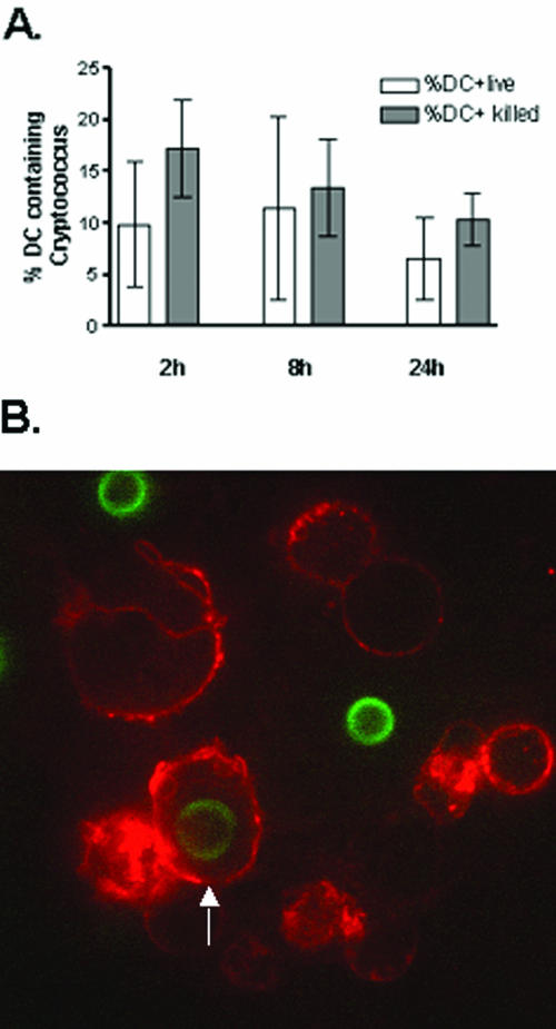 FIG. 2.