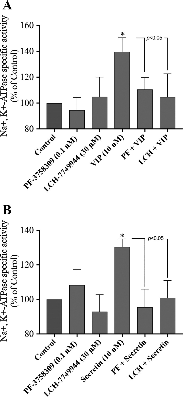 Fig. 11.