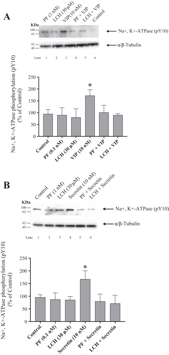 Fig. 13.