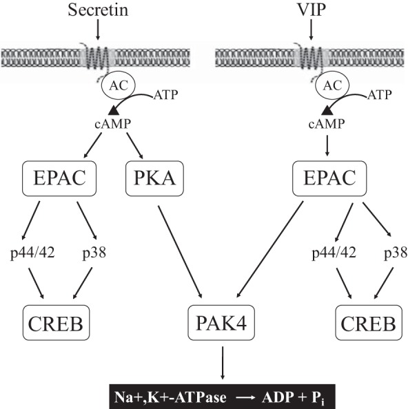 Fig. 14.