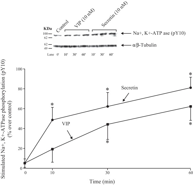 Fig. 12.