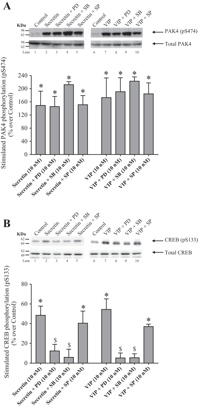 Fig. 9.