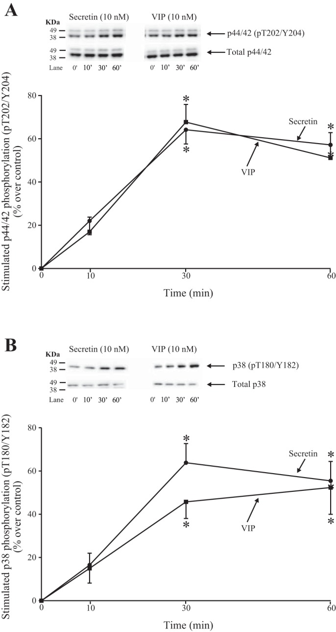 Fig. 10.