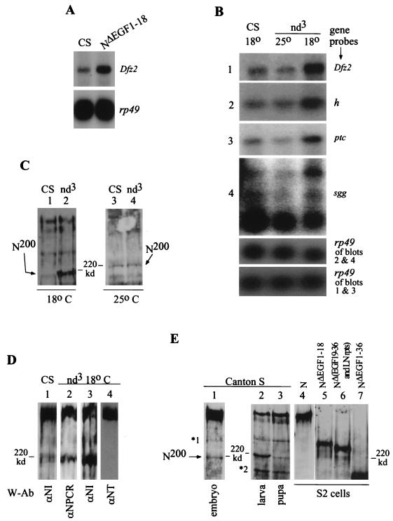 FIG. 6