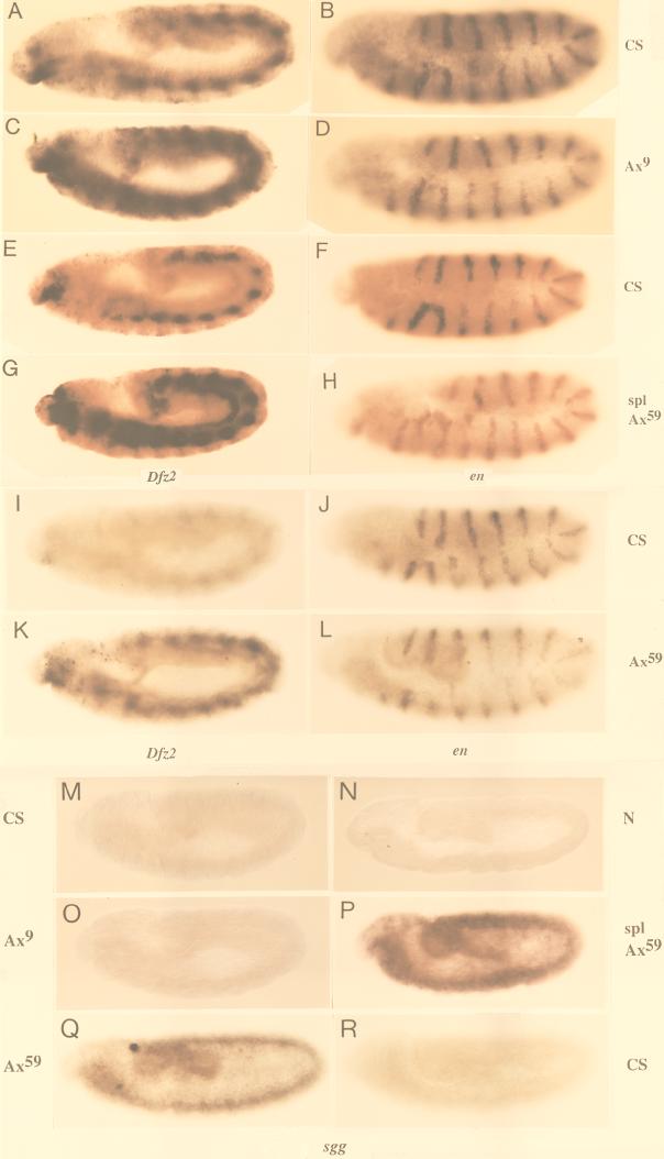 FIG. 8