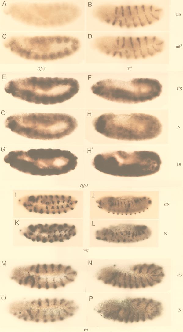 FIG. 7