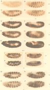 FIG. 7