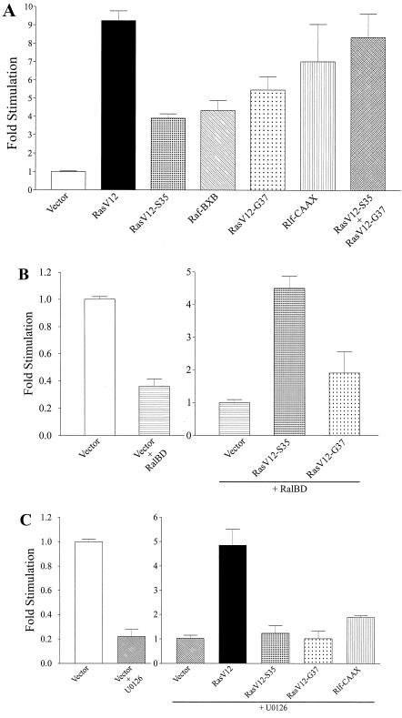 FIG. 6