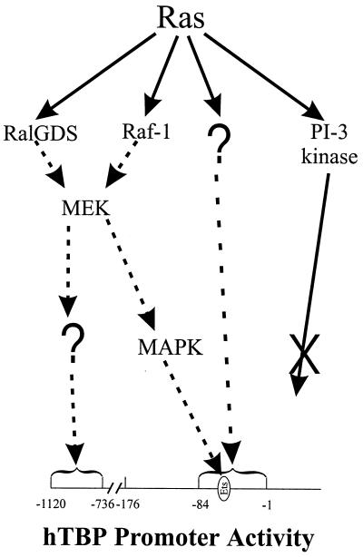 FIG. 8