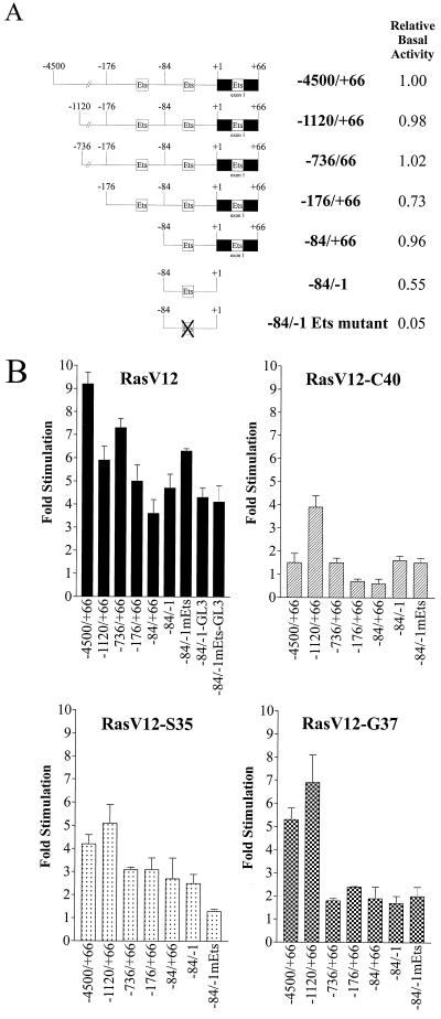 FIG. 7