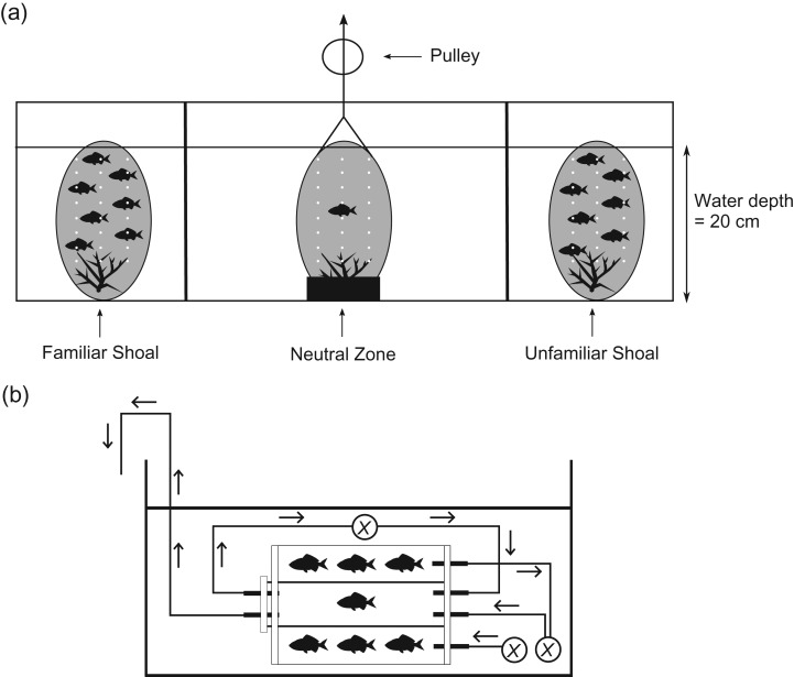 Figure 1: