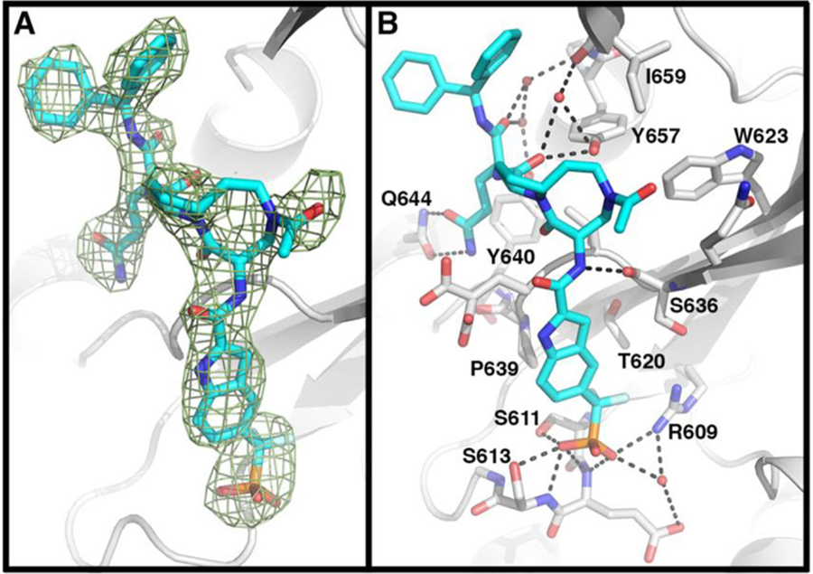 Figure 2.