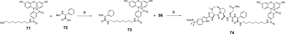 Scheme 9.