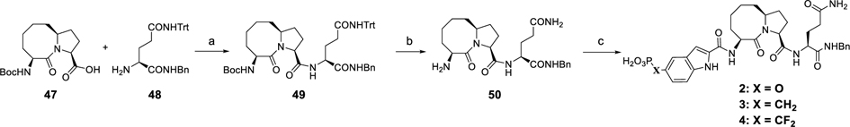 Scheme 3.