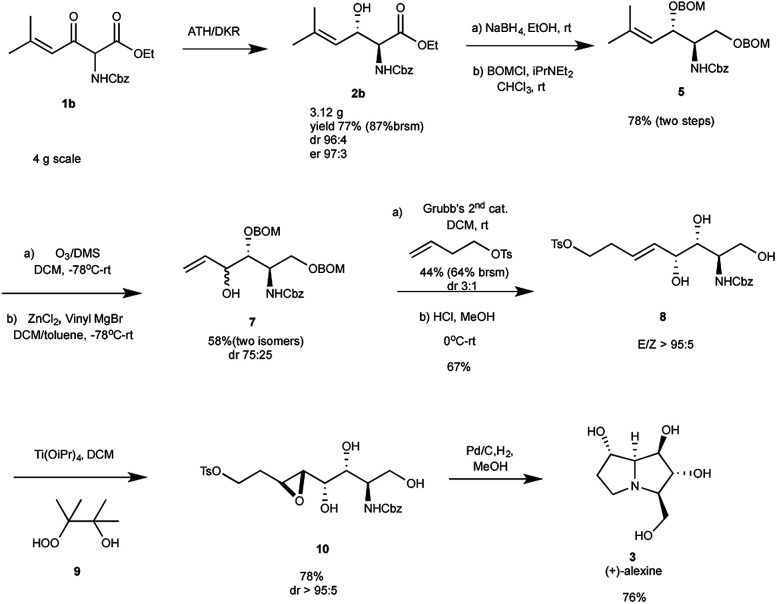 Scheme 3