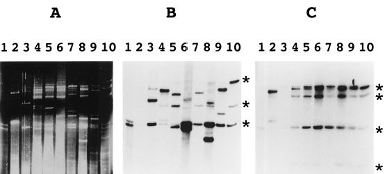 FIG. 7