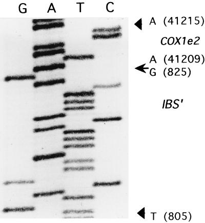 FIG. 4