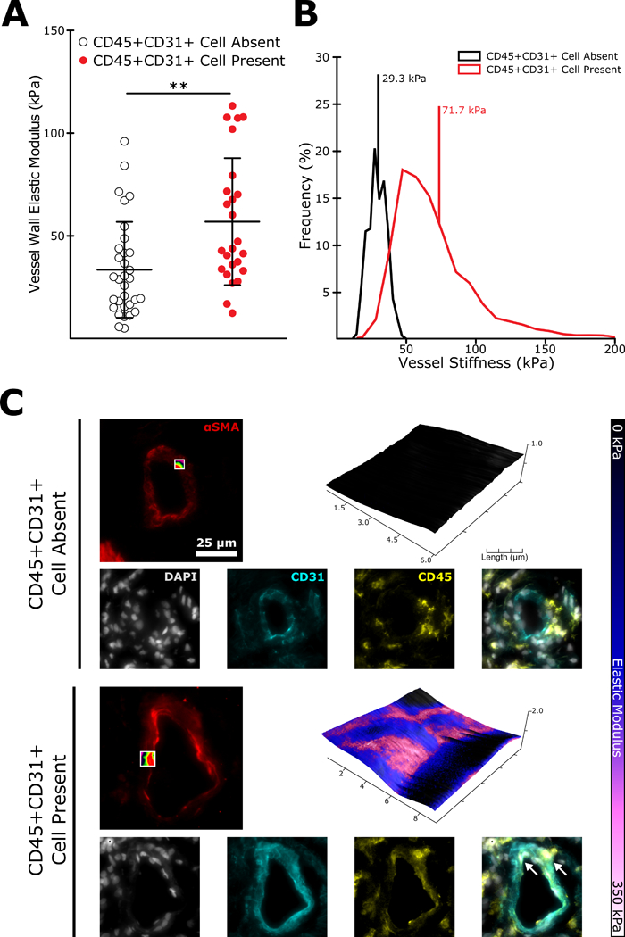 Figure 7: