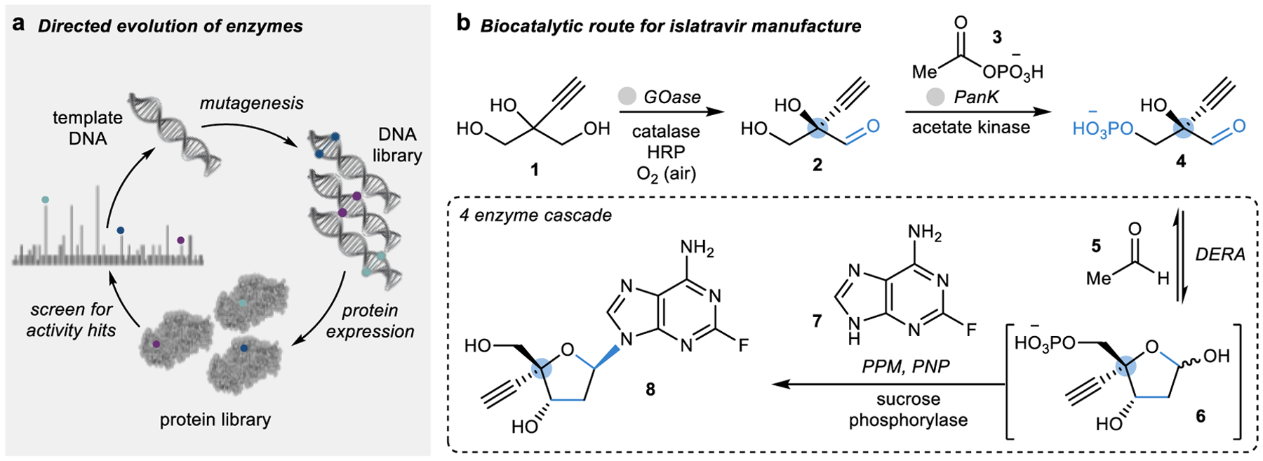 Figure 1 |