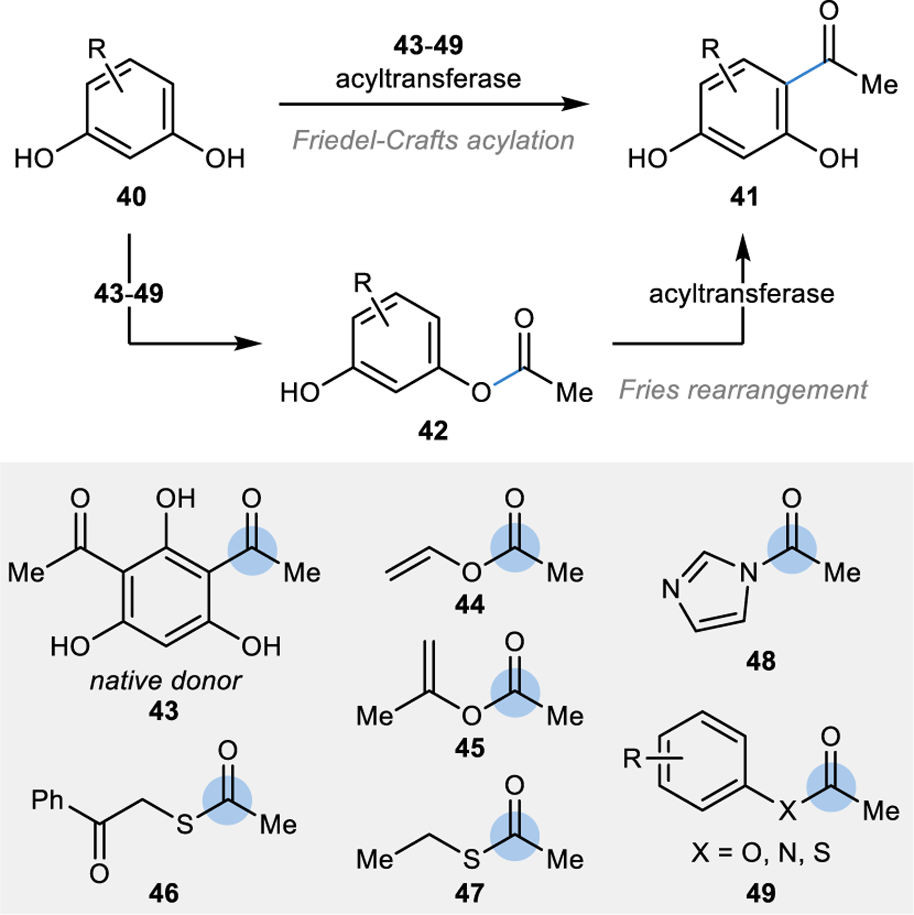 Figure 4 |