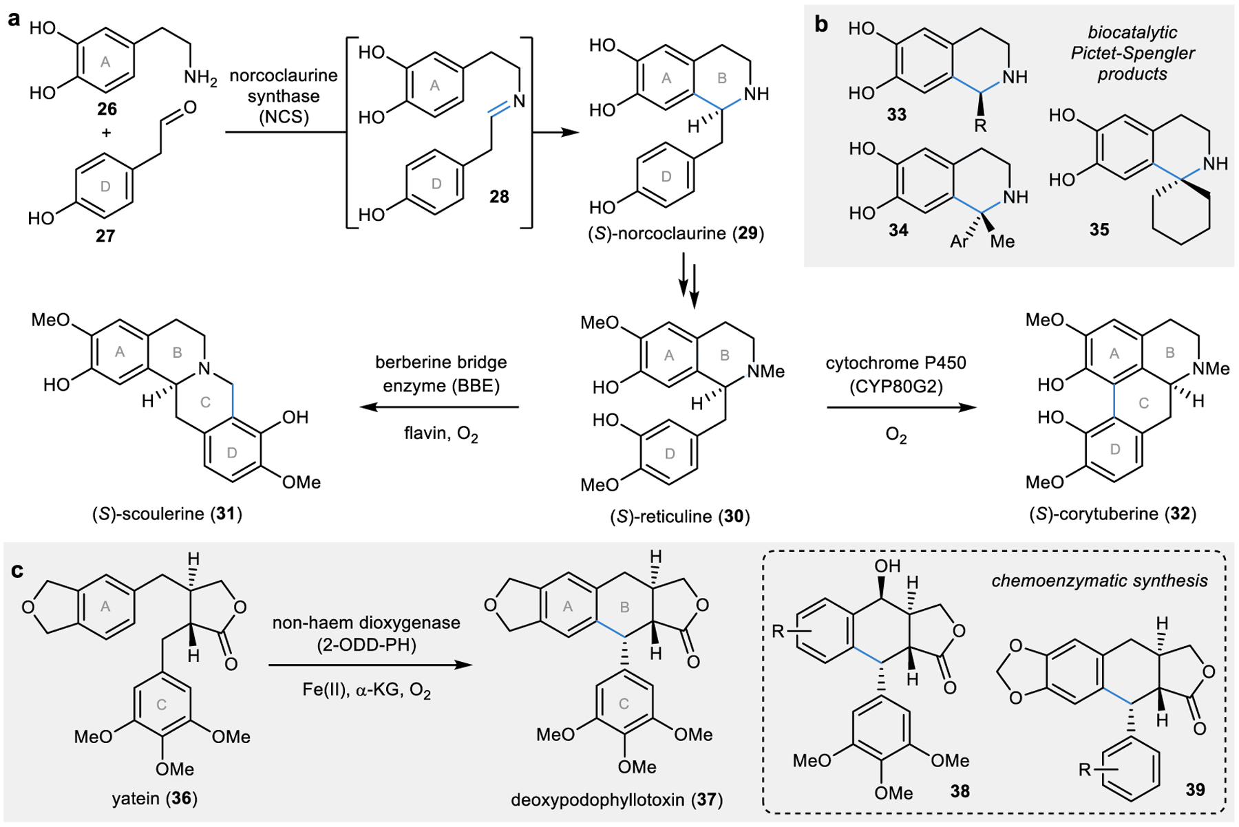 Figure 3 |