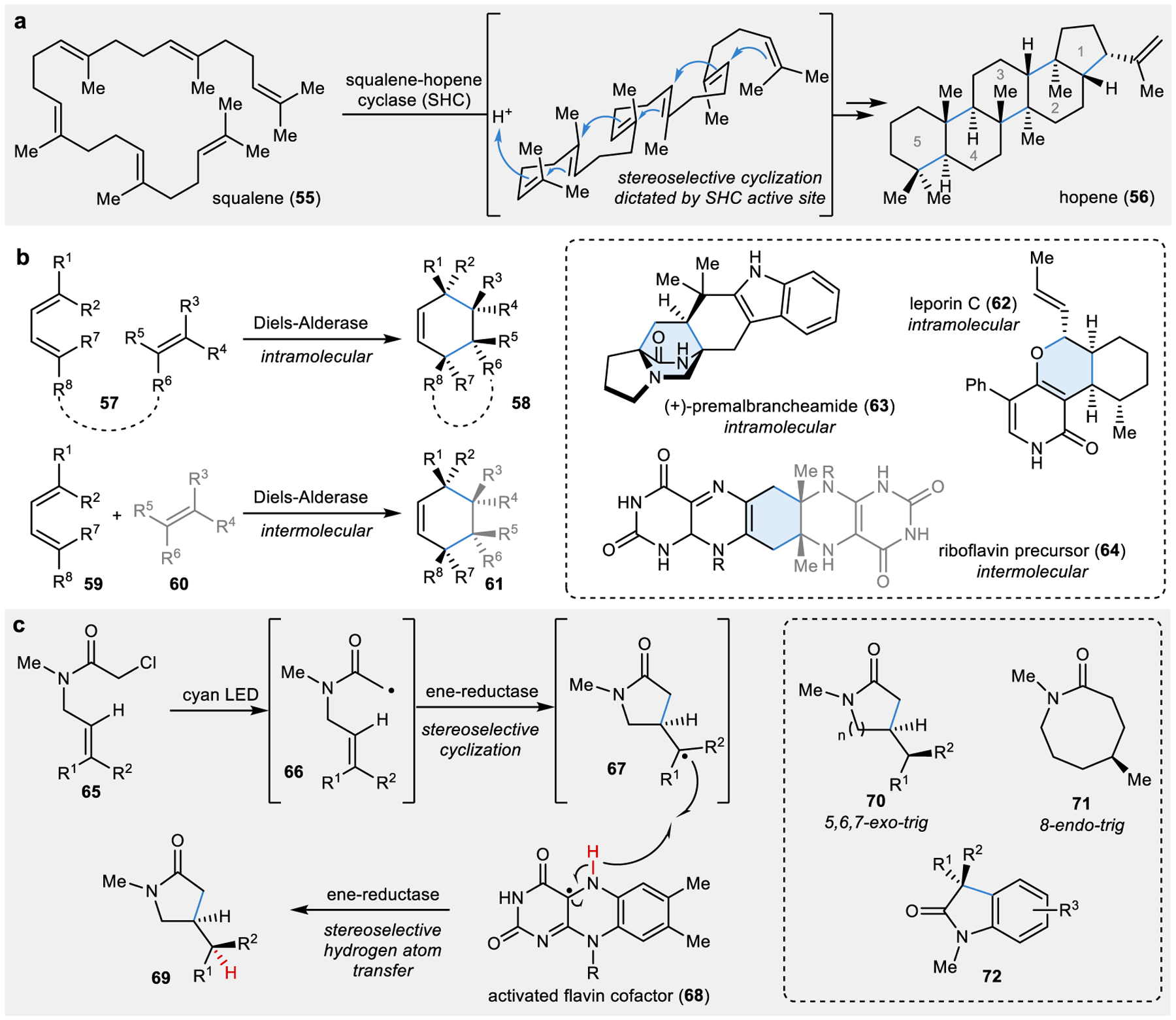 Figure 6 |