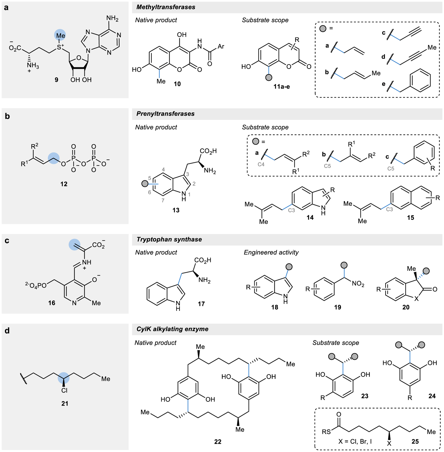 Figure 2 |