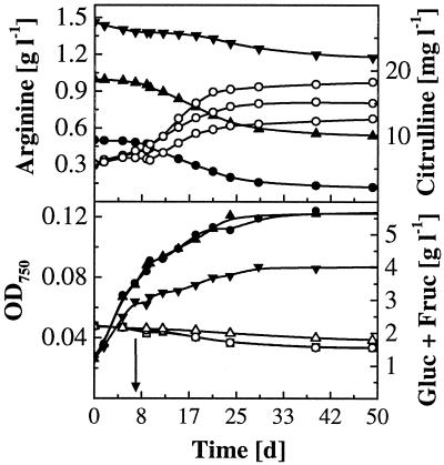 FIG. 5