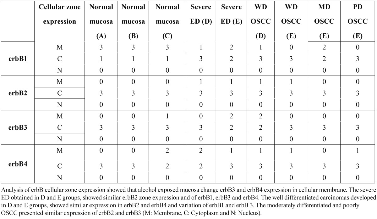 graphic file with name medoral-18-e325-t002.jpg