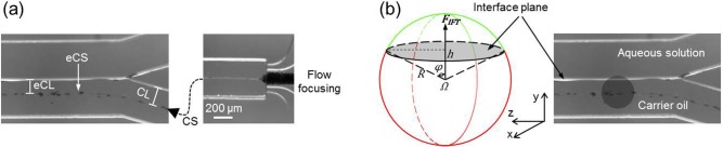 FIG. 2.