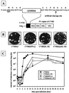 FIG. 1